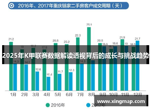2025年K甲联赛数据解读透视背后的成长与挑战趋势