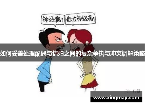 如何妥善处理配偶与情妇之间的复杂争执与冲突调解策略