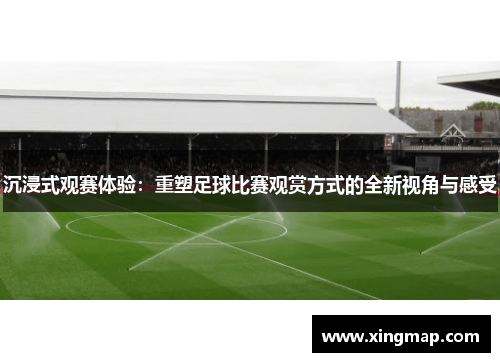 沉浸式观赛体验：重塑足球比赛观赏方式的全新视角与感受